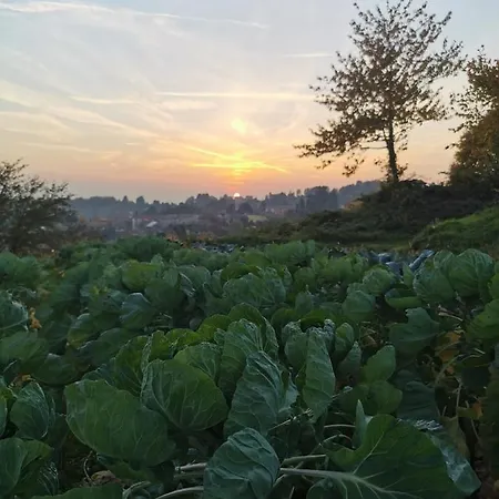 Teresa Delle Fragole Feriegård